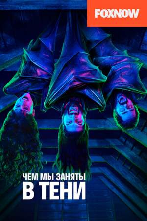 Чем мы заняты в тени (1-4 сезон)
